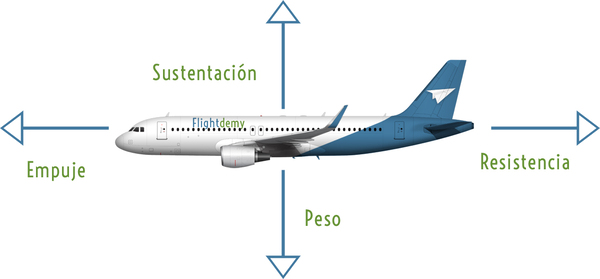 Fuerzas que actúan sobre un avión